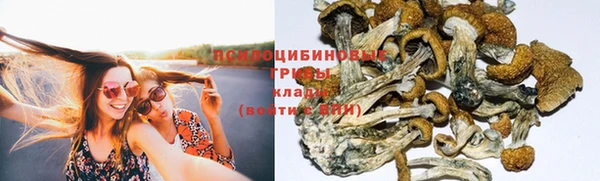 меф Алексеевка