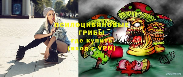 тгк Абинск