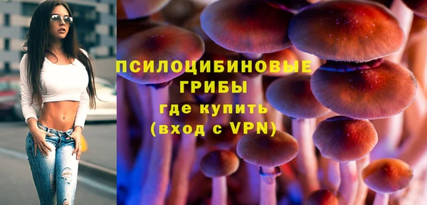 соль курить ск Алзамай