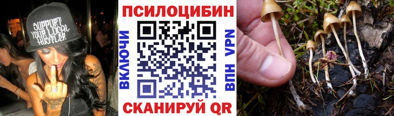Псилоцибиновые грибы GOLDEN TEACHER  Енисейск 